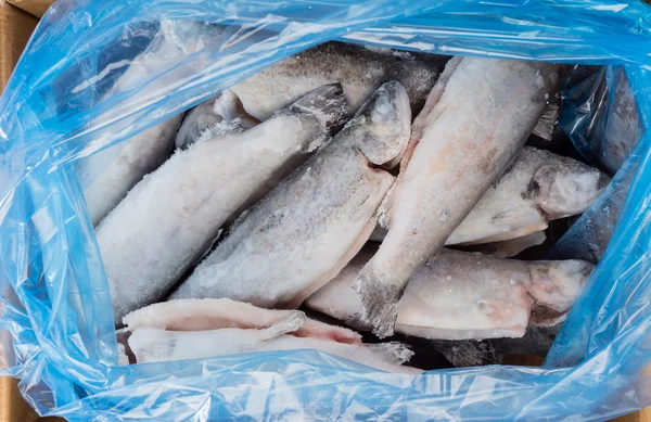 Peixe congelado embalado — Fotografia de Stock
