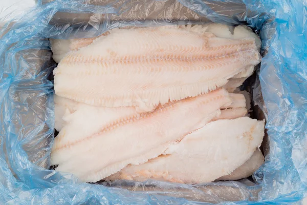 Pesce congelato confezionato — Foto Stock
