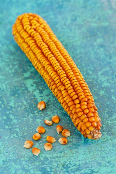 Golden natural corn seeds — Stock Photo, Image