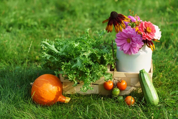 Mooie herfst arrangement — Stockfoto