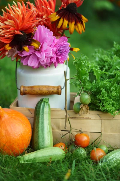 Beautiful autumn arrangement — Stock Photo, Image