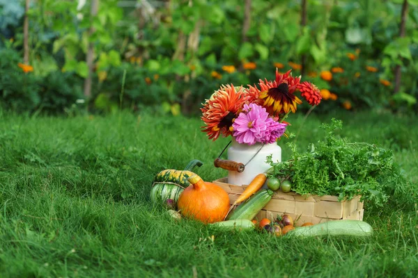 Pianta autunnale colorata — Foto Stock