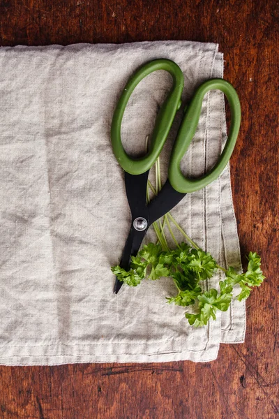 Zelená nůžky s petrželkou — Stock fotografie