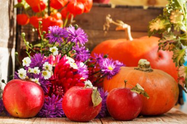 sonbahar bitkiler kompozisyon