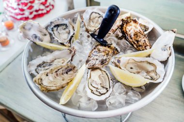 istiridye kase buz ile