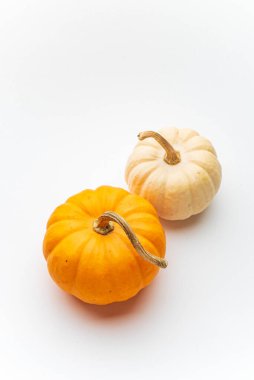 Beyaz arkaplanda küçük dekoratif balkabakları