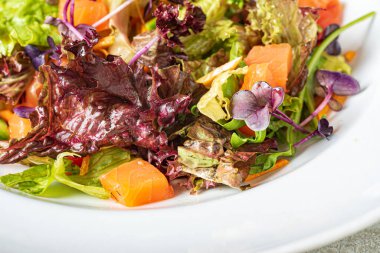 Somon ve sebzeli taze salata.