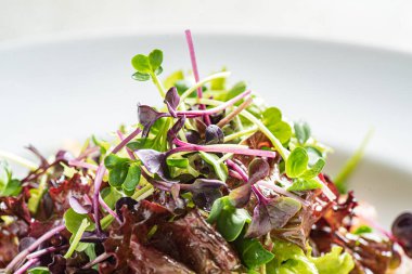 Tavuk ve sebzeli taze salata.