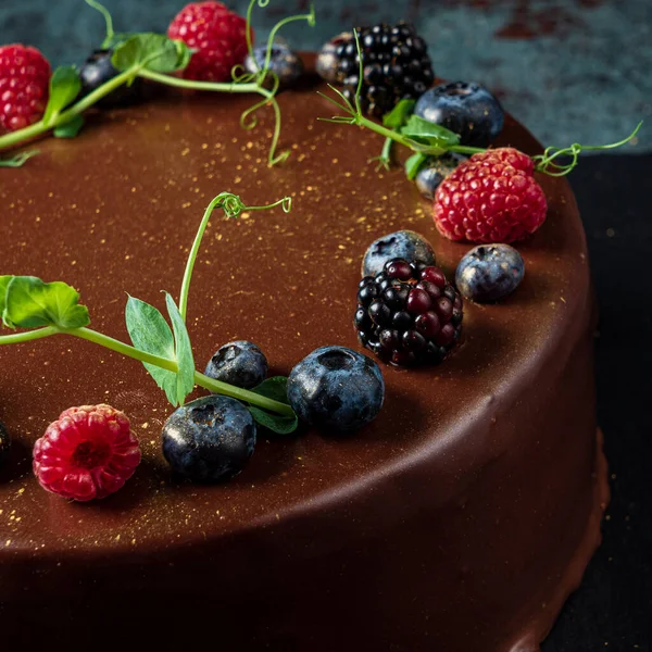 有黑莓和覆盆子的巧克力蛋糕 — 图库照片