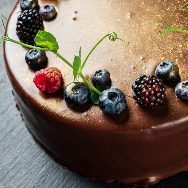 有黑莓和覆盆子的巧克力蛋糕 — 图库照片