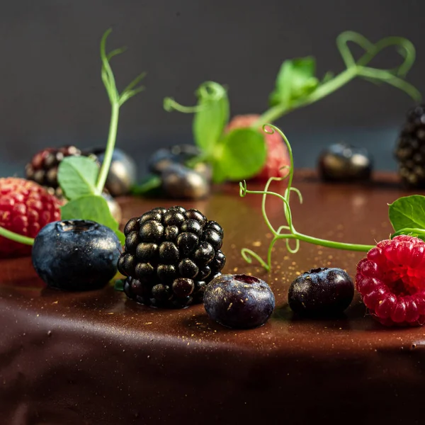 ブラックベリーとラズベリーのチョコレートケーキ — ストック写真