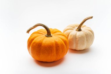 Beyaz arkaplanda küçük dekoratif balkabakları