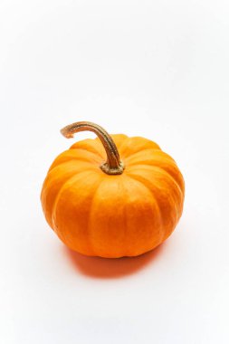 Beyaz arkaplanda küçük dekoratif balkabakları