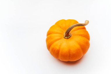 Beyaz arkaplanda küçük dekoratif balkabakları