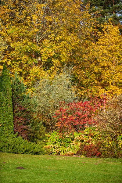 Autumn Garden Nice Trees — Stock Photo, Image