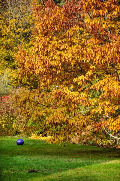 Bel Autunno Giardino — Foto Stock