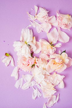 Renk arkaplanda şakayık yaprakları