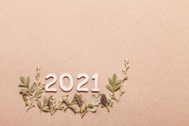 Bitkilerle yeni yıl kartı