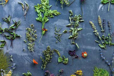 Esmer arka planda bitkiler