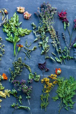 Esmer arka planda bitkiler