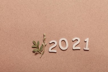 Bitkilerle yeni yıl kartı