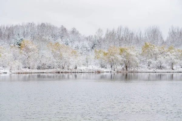 Mooie Winter Het Park — Stockfoto