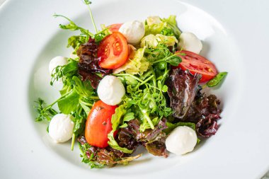 Mozarella ve sebzeli taze salata.