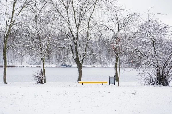 Inverno Agradável Parque — Fotografia de Stock