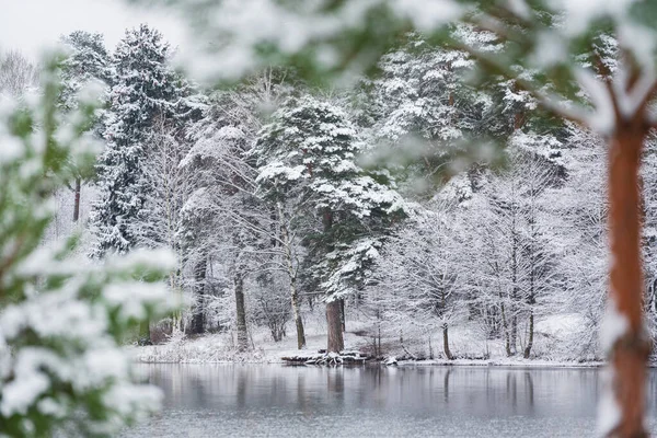 Nice Winter Park — Stock Photo, Image