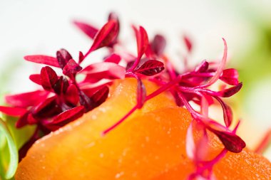 Tuzlu somon ve otlu kanepe.