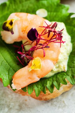 Peynirli ve otlu gurme kanepesi.