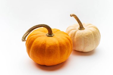 Beyaz arkaplanda küçük dekoratif balkabakları