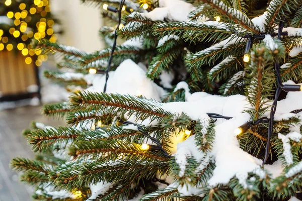 Navidad Invierno Árbol Verde — Foto de Stock