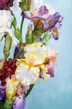 Bir demet renkli süsen kuşu