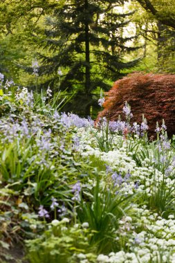 Güzel çiçekli bahar bahçesi.