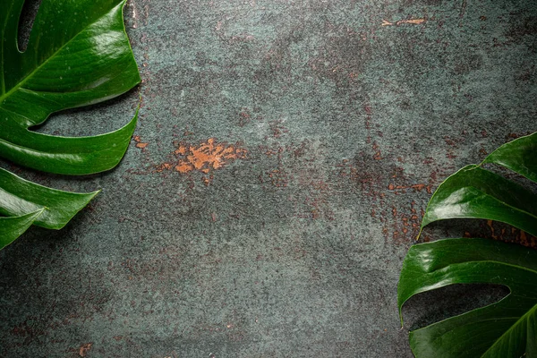 photography background board with leaves