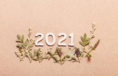 Bitkilerle yeni yıl kartı