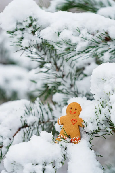 Gelukkige Peperkoek Man Tak — Stockfoto