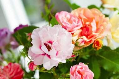 Vazodaki renkli güller