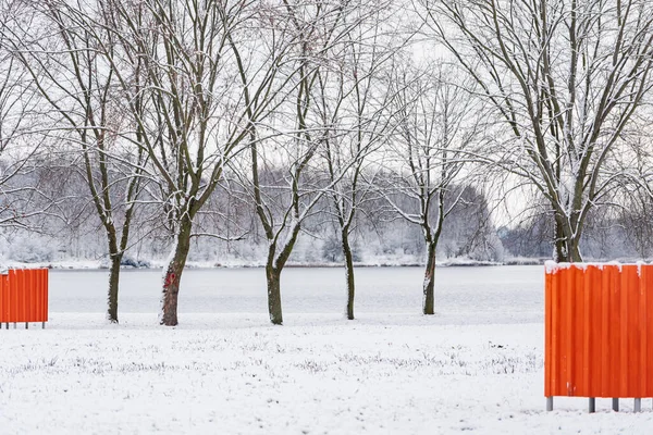 公園のいい冬 — ストック写真