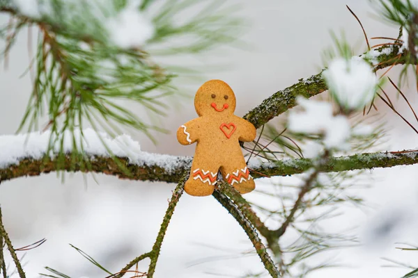 Gelukkige Peperkoek Man Tak — Stockfoto