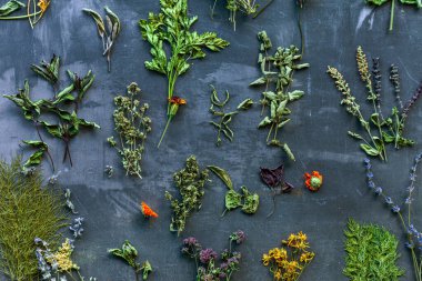 kurutulmuş otlar, yakın