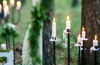 Ormanda düğün süsü