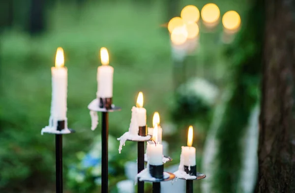 Décoration Mariage Dans Forêt — Photo