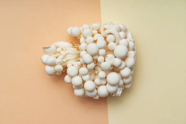 Witte Enoki Paddenstoelen Bovenaanzicht — Stockfoto