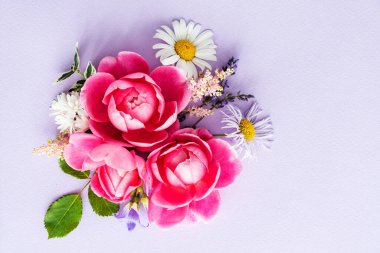 Güzel yaz çiçekleri, güzel manzara.