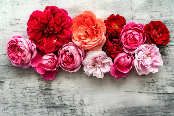 Schöne Frische Rosen Blick Von Oben — Stockfoto