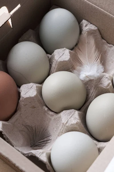 Ovos Orgânicos Caixa — Fotografia de Stock