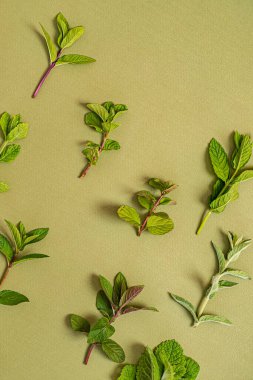 yeşil arkaplanda farklı türler