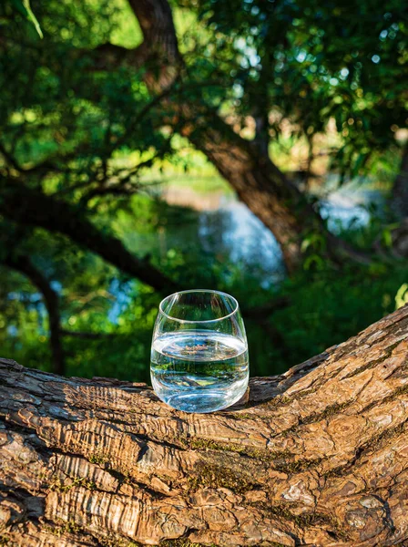 Vaso Agua Limpia Aire Libre — Foto de Stock